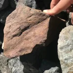 破碎机使用注意事项:保障设备安全运行的实用指南 4 矿物破碎力学因素:影响破碎效果的关键属性